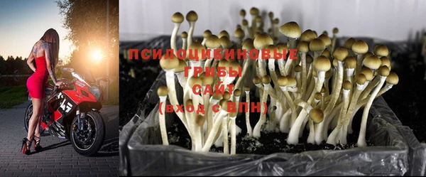 герыч Белокуриха