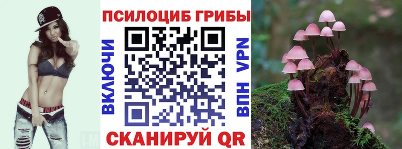 Галлюциногенные грибы Cubensis  Сковородино 